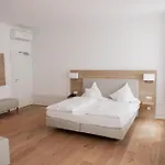 佩克欧酒店 海德堡