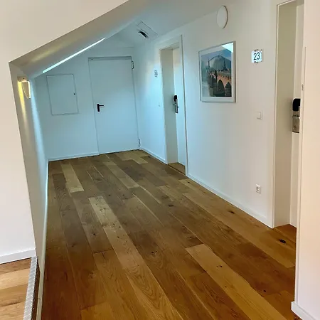 佩克欧酒店 海德堡